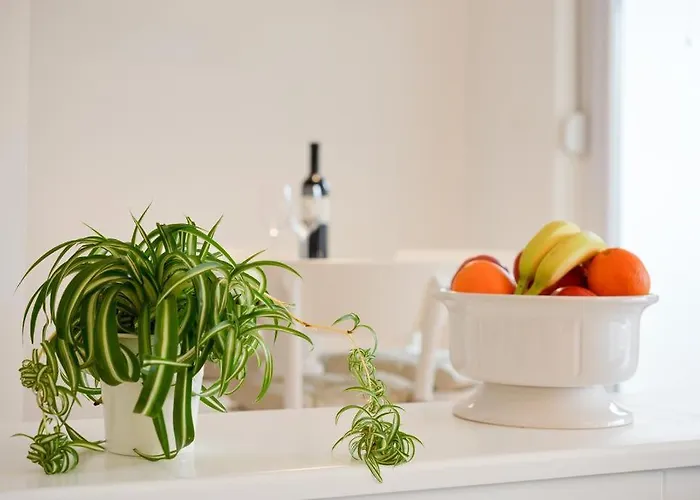 Spacious Chic Apartamento