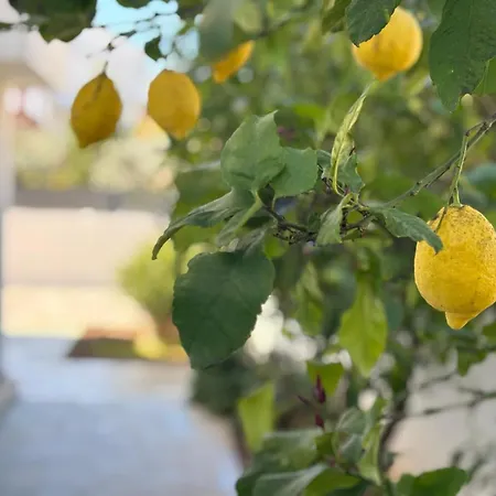 Spacious Chic Apartman Zára