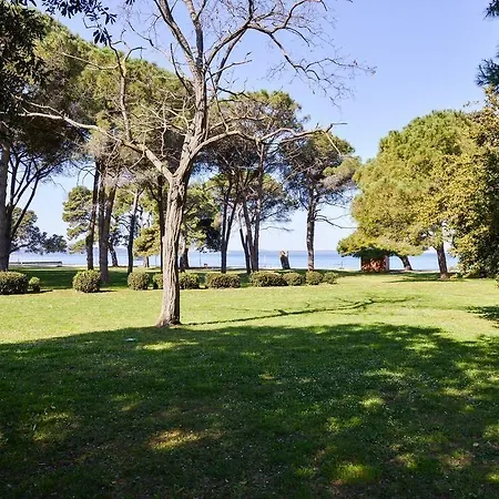 Spacious Chic * Zára