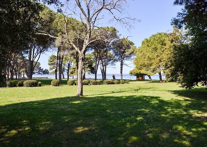 Spacious Chic * זאדאר